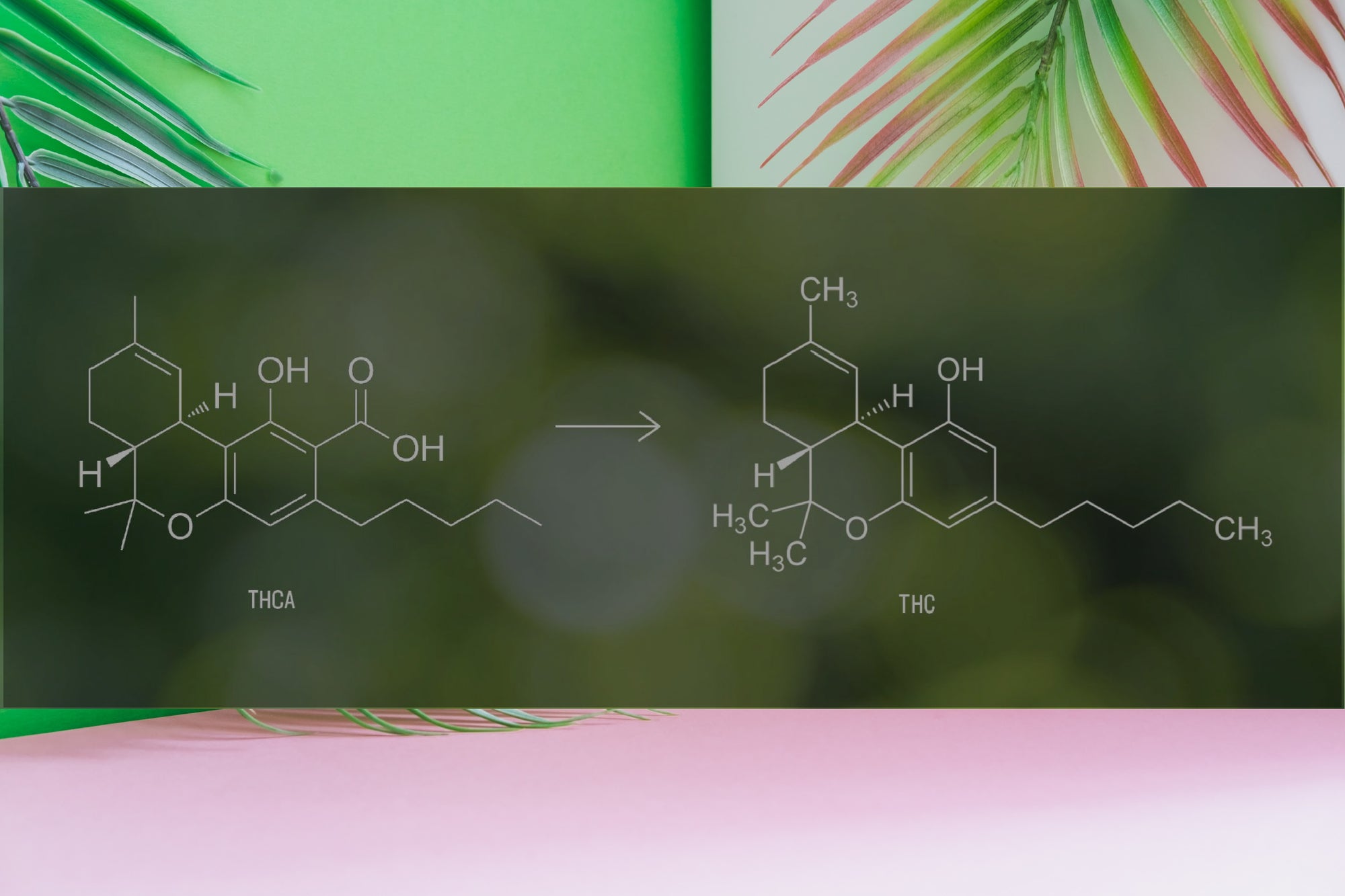 Decarboxylation (Decarb): A Necessary Reaction